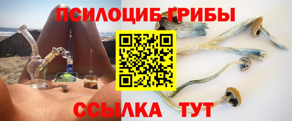 Псилоцибиновые грибы мицелий  Вход с VPN  Назрань  Галлюциногенные грибы Psilocybine cubensis 